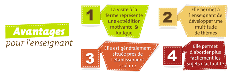 Les avantages pour les enseignants