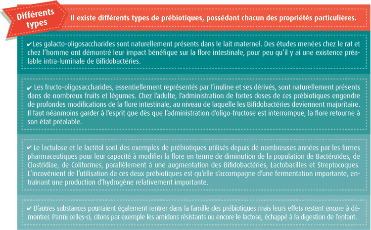 Les différents types de prébiotiques