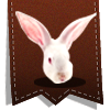 Lapin