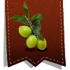 grappe d'olives