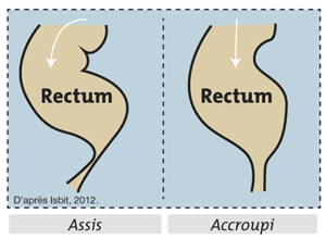 Encadré: rectum - position assise, accroupis