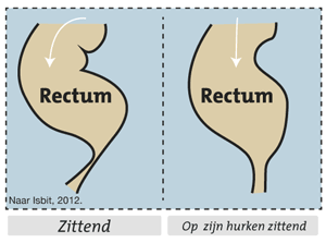 Encadr: rectum - position assise, accroupis
